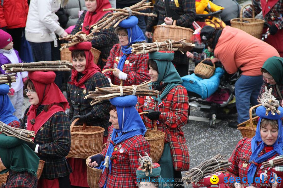 Narrentreffen: Rielasingen am Bodensee, 29.01.2012