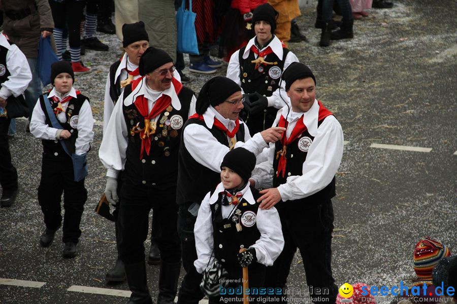 Narrentreffen: Rielasingen am Bodensee, 29.01.2012