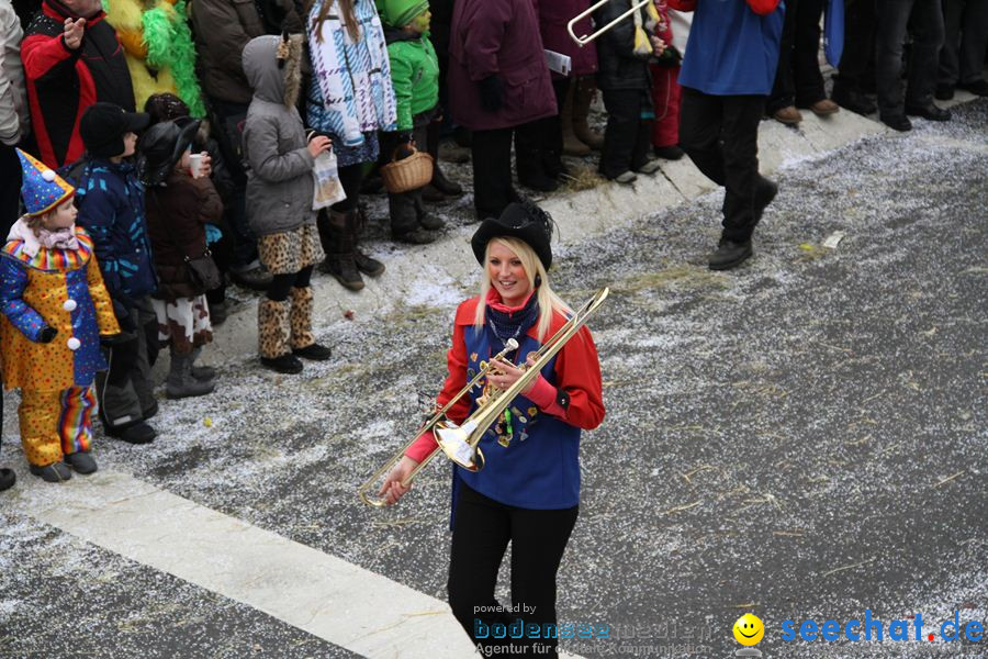 Narrentreffen: Rielasingen am Bodensee, 29.01.2012