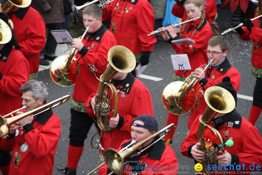 Narrentreffen: Rielasingen am Bodensee, 29.01.2012