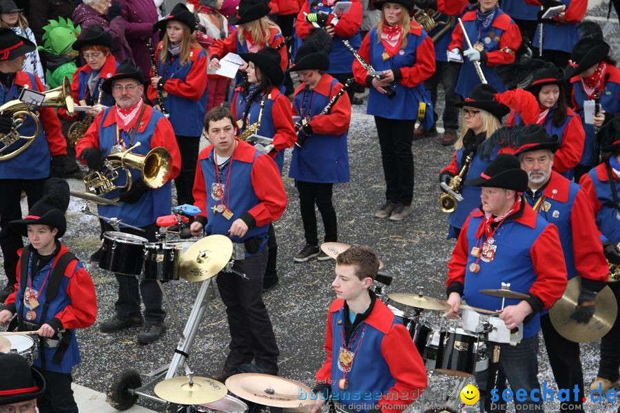 Narrentreffen: Rielasingen am Bodensee, 29.01.2012