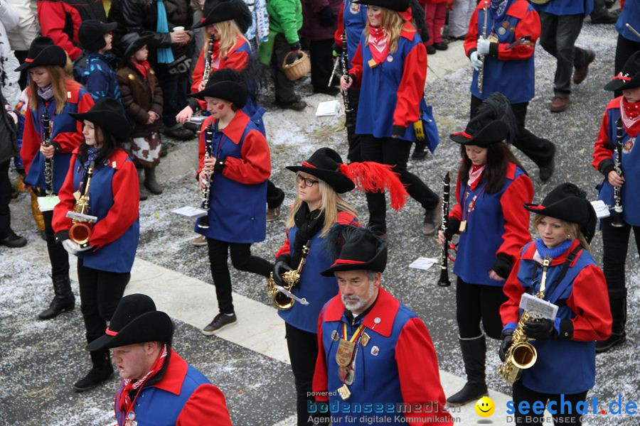 Narrentreffen: Rielasingen am Bodensee, 29.01.2012