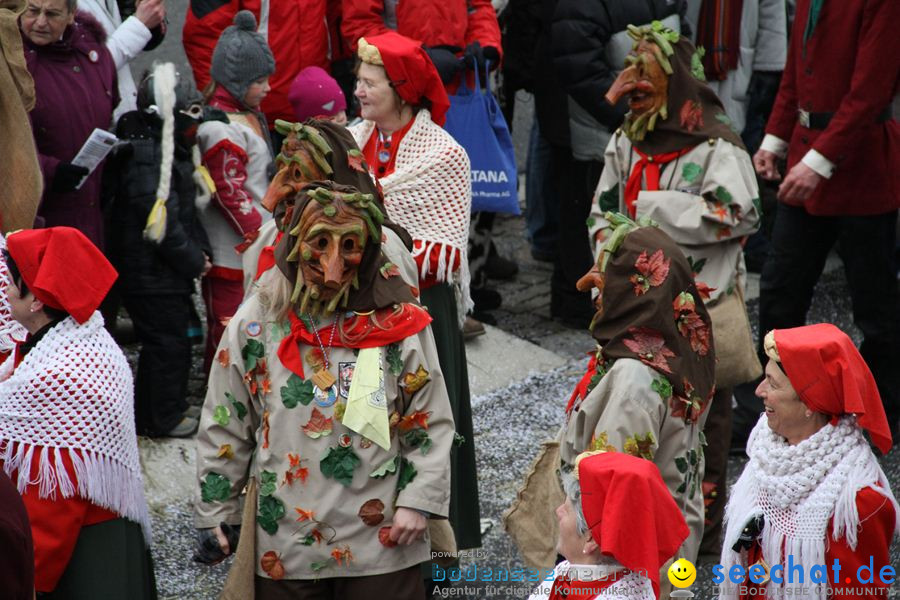 Narrentreffen: Rielasingen am Bodensee, 29.01.2012