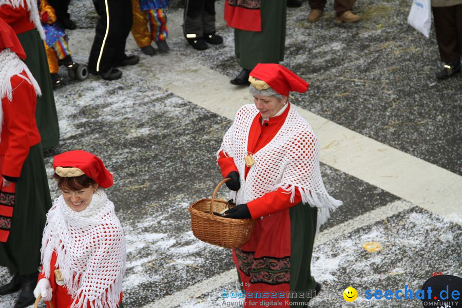 Narrentreffen: Rielasingen am Bodensee, 29.01.2012