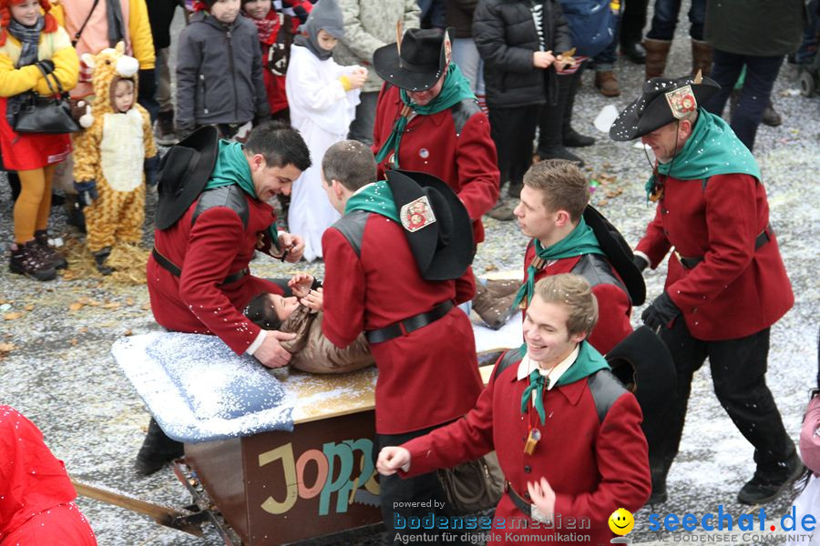 Narrentreffen: Rielasingen am Bodensee, 29.01.2012