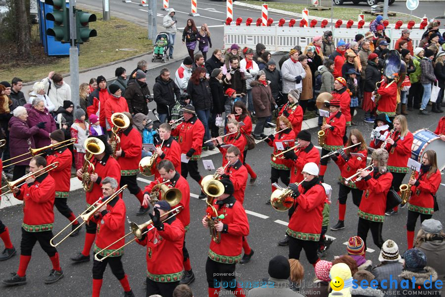 Narrentreffen: Rielasingen am Bodensee, 29.01.2012