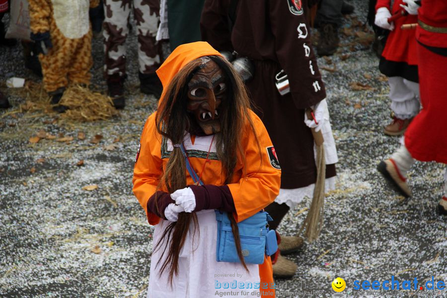 Narrentreffen: Rielasingen am Bodensee, 29.01.2012