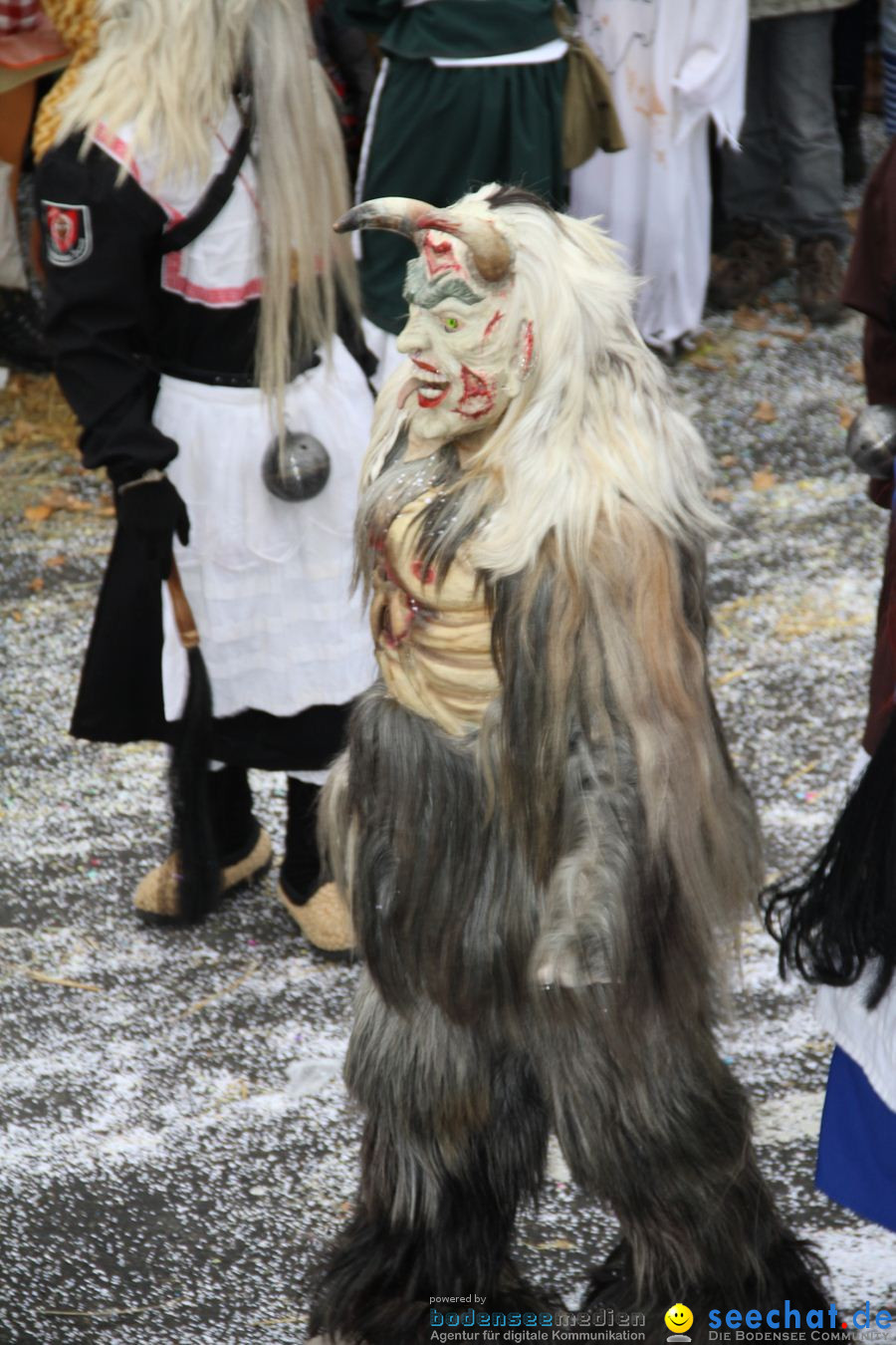 Narrentreffen: Rielasingen am Bodensee, 29.01.2012