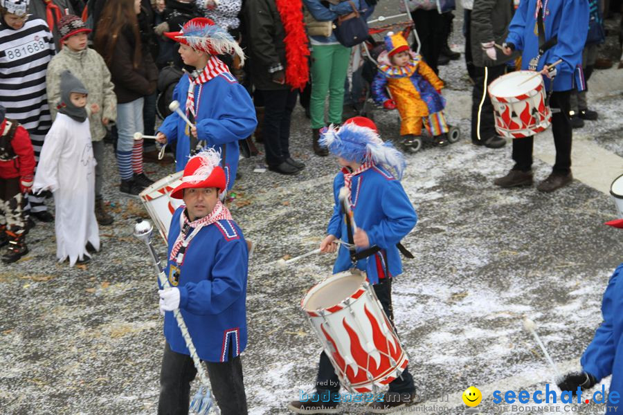 Narrentreffen: Rielasingen am Bodensee, 29.01.2012