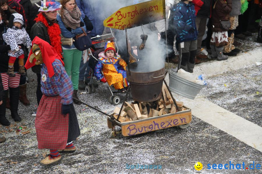 Narrentreffen: Rielasingen am Bodensee, 29.01.2012