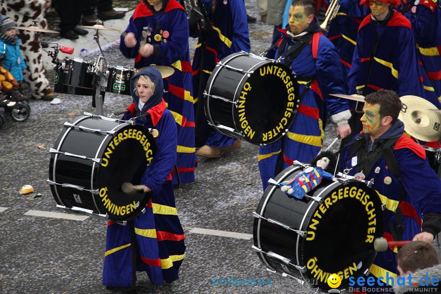 Narrentreffen: Rielasingen am Bodensee, 29.01.2012