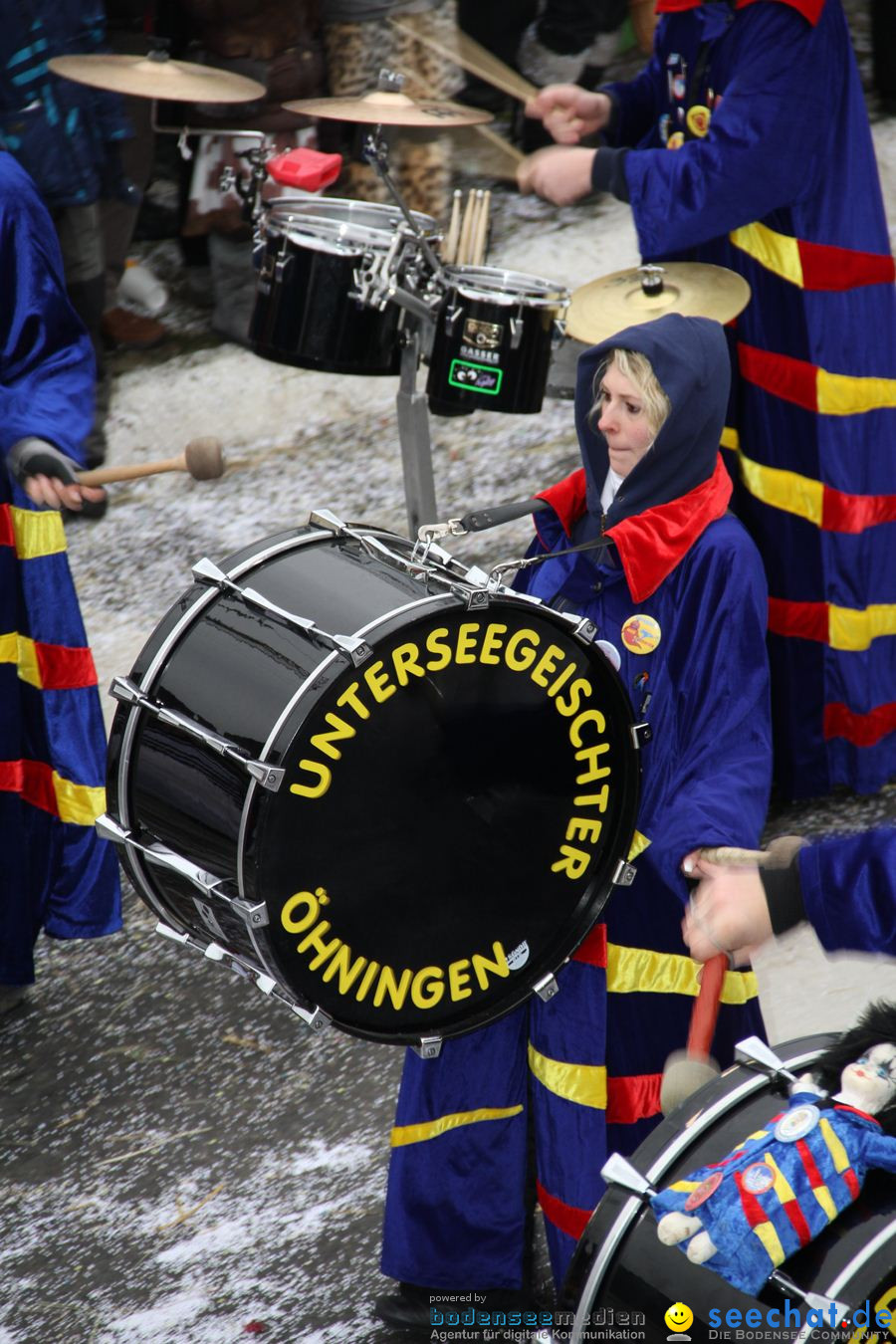 Narrentreffen: Rielasingen am Bodensee, 29.01.2012