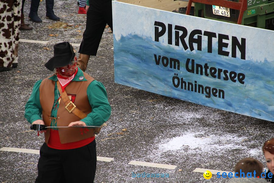 Narrentreffen: Rielasingen am Bodensee, 29.01.2012