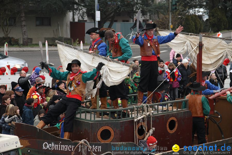 Narrentreffen: Rielasingen am Bodensee, 29.01.2012