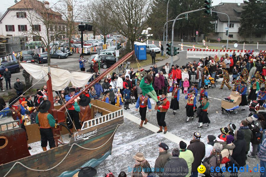 Narrentreffen: Rielasingen am Bodensee, 29.01.2012