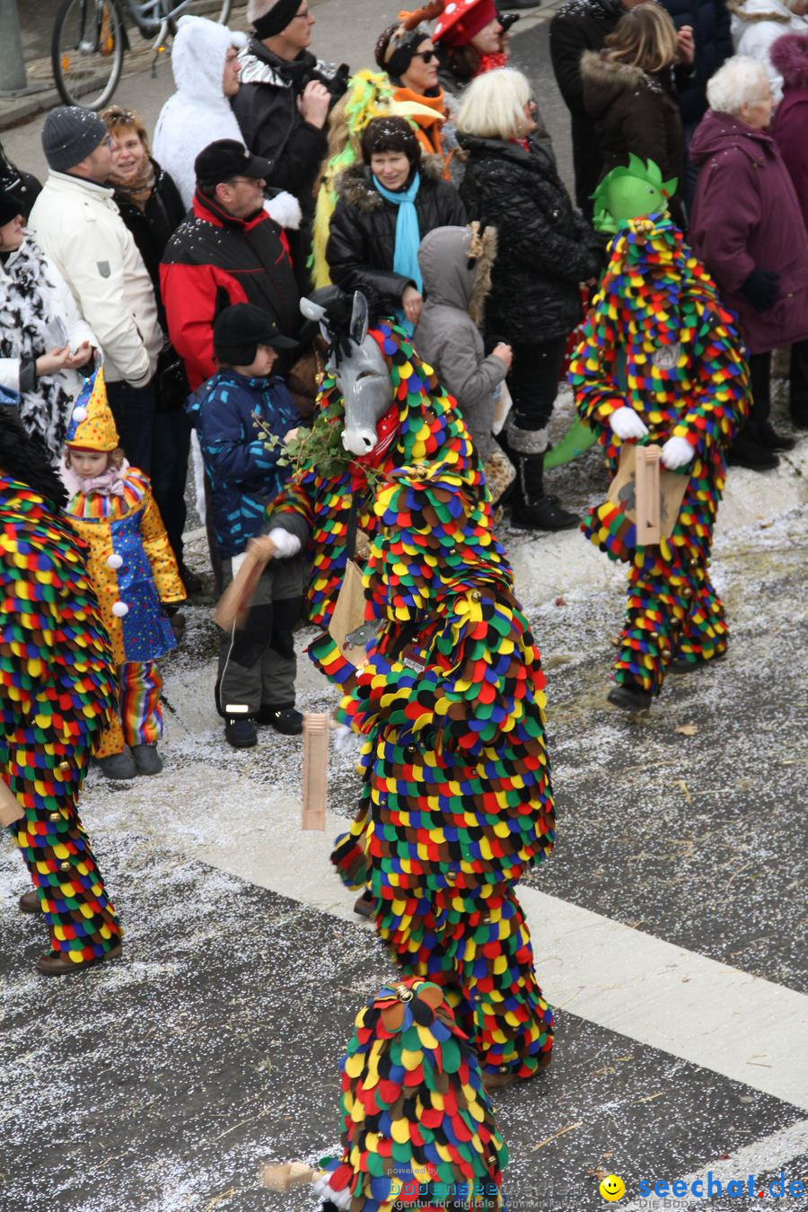 Narrentreffen: Rielasingen am Bodensee, 29.01.2012