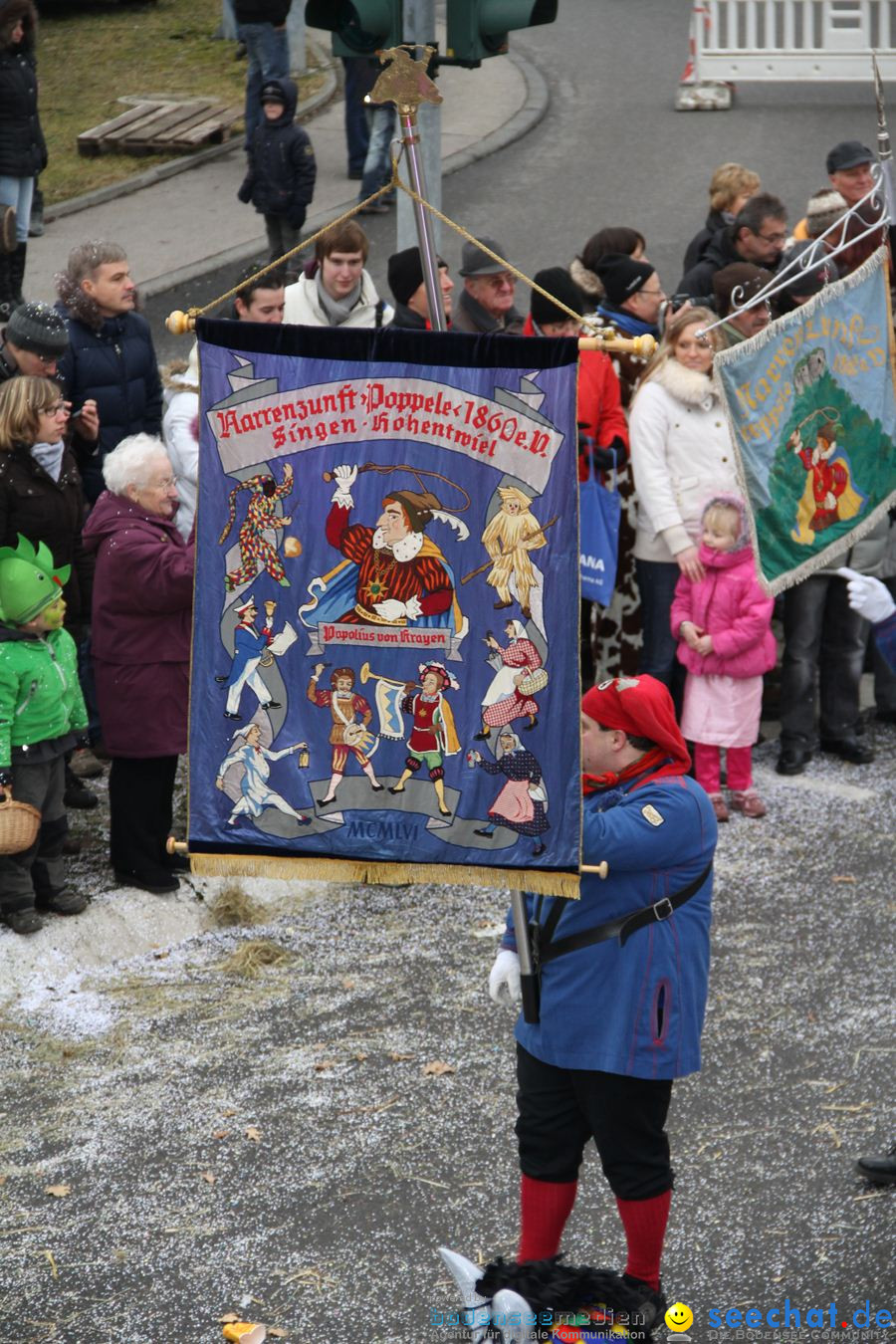 Narrentreffen: Rielasingen am Bodensee, 29.01.2012