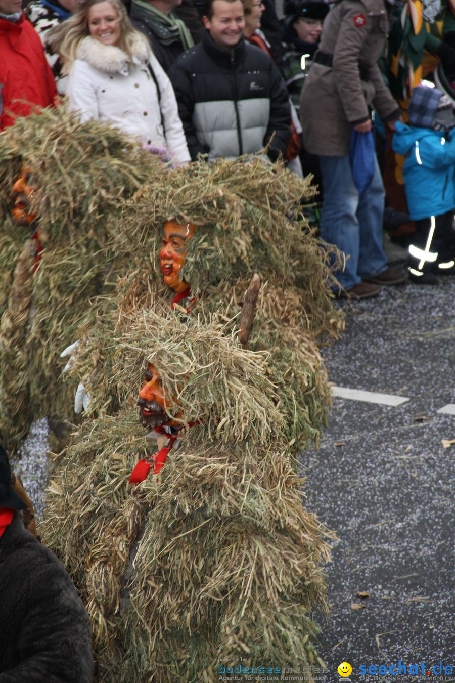 Narrentreffen: Rielasingen am Bodensee, 29.01.2012