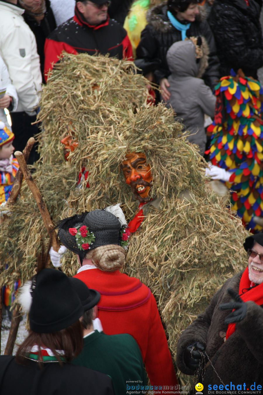 Narrentreffen: Rielasingen am Bodensee, 29.01.2012