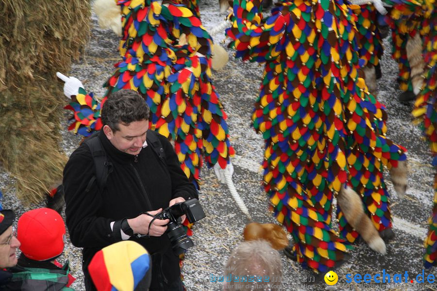 Narrentreffen: Rielasingen am Bodensee, 29.01.2012