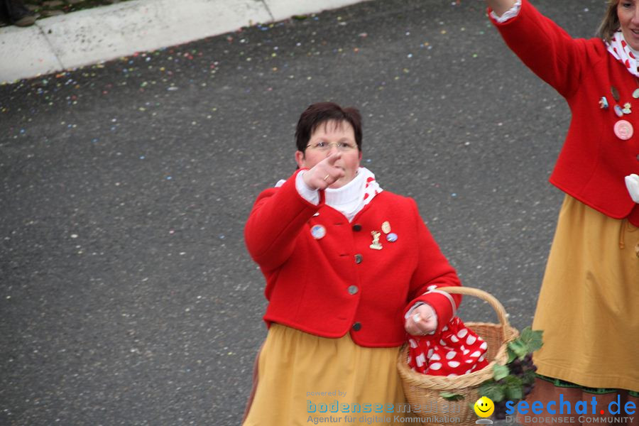 Narrentreffen: Rielasingen am Bodensee, 29.01.2012