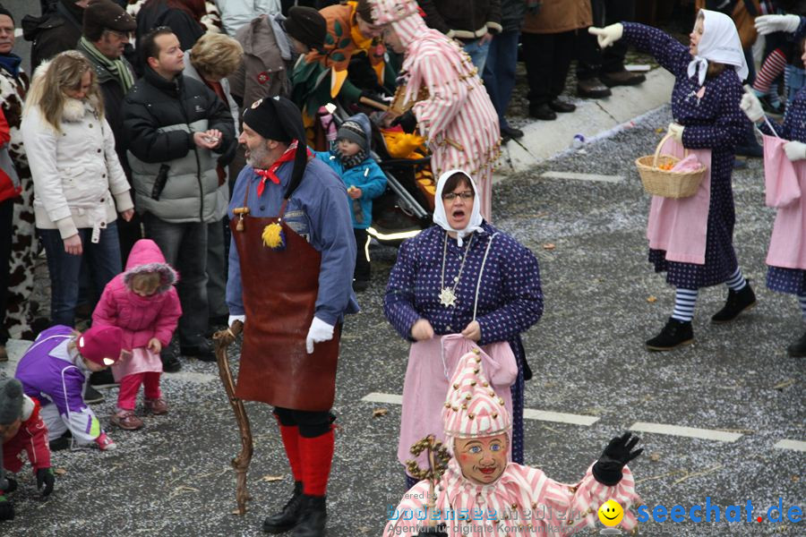 Narrentreffen: Rielasingen am Bodensee, 29.01.2012