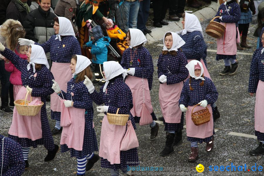 Narrentreffen: Rielasingen am Bodensee, 29.01.2012