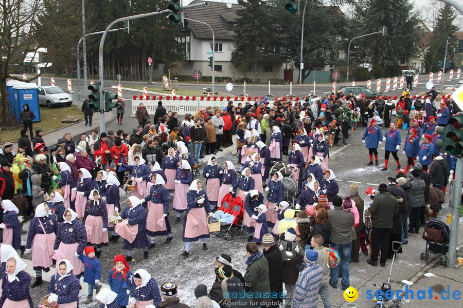 Narrentreffen: Rielasingen am Bodensee, 29.01.2012