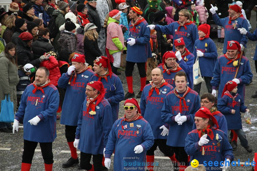 Narrentreffen: Rielasingen am Bodensee, 29.01.2012