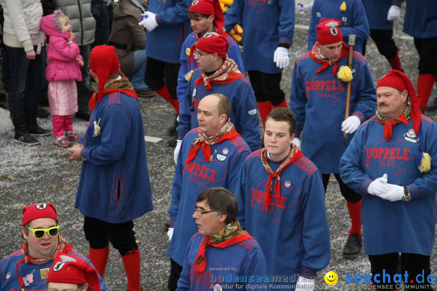 Narrentreffen: Rielasingen am Bodensee, 29.01.2012