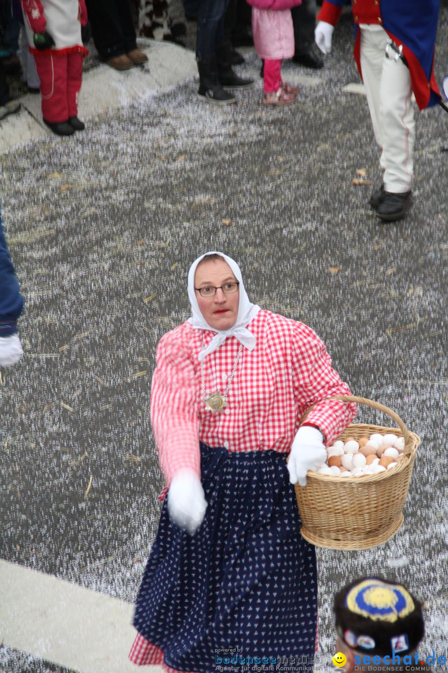 Narrentreffen: Rielasingen am Bodensee, 29.01.2012