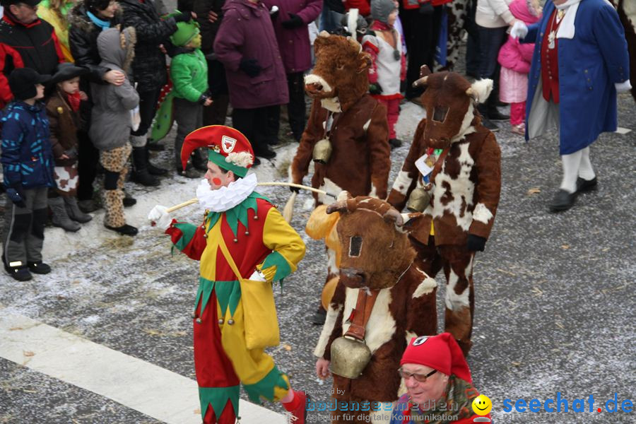 Narrentreffen: Rielasingen am Bodensee, 29.01.2012