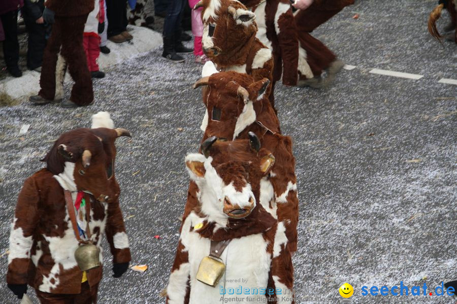 Narrentreffen: Rielasingen am Bodensee, 29.01.2012