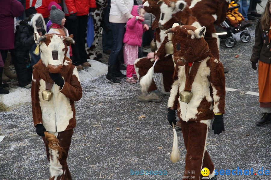 Narrentreffen: Rielasingen am Bodensee, 29.01.2012