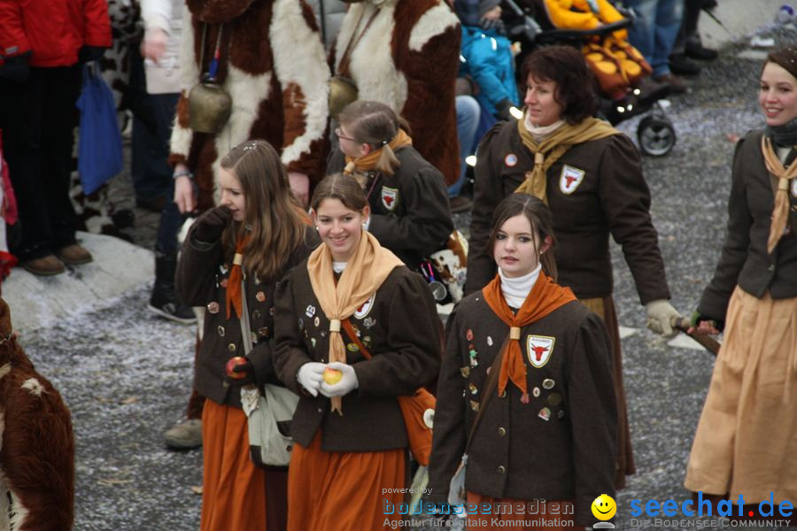 Narrentreffen: Rielasingen am Bodensee, 29.01.2012