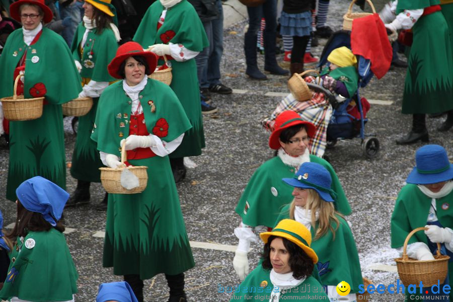 Narrentreffen: Rielasingen am Bodensee, 29.01.2012