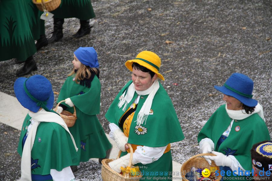 Narrentreffen: Rielasingen am Bodensee, 29.01.2012