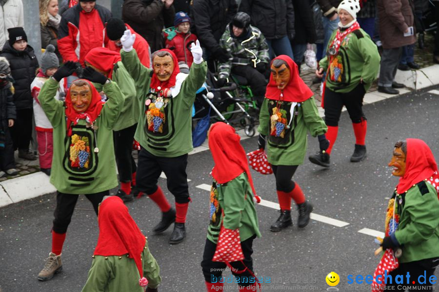 Narrentreffen: Rielasingen am Bodensee, 29.01.2012