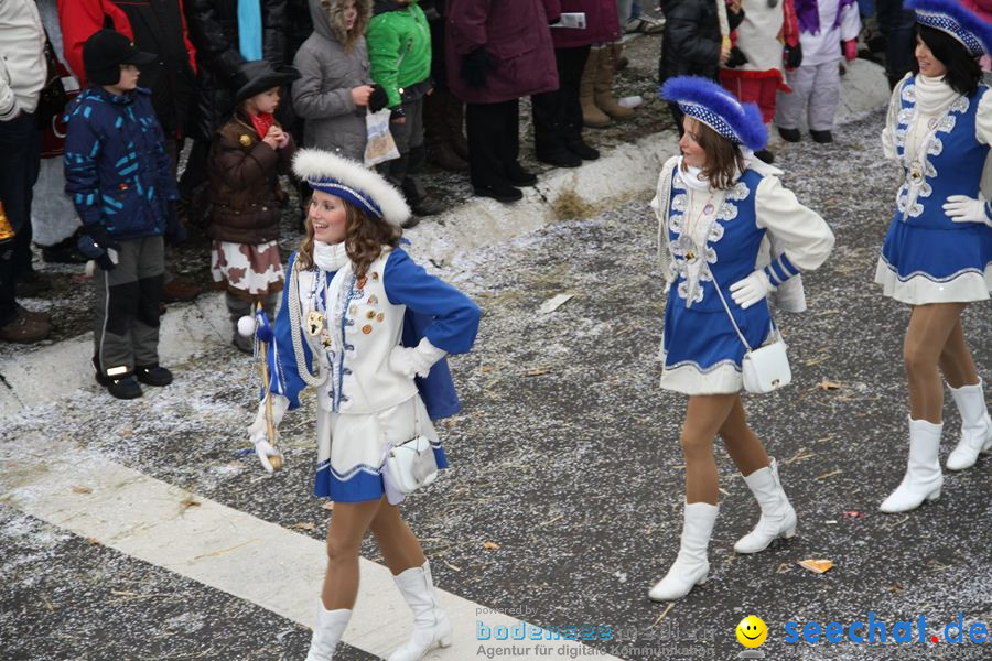 Narrentreffen: Rielasingen am Bodensee, 29.01.2012