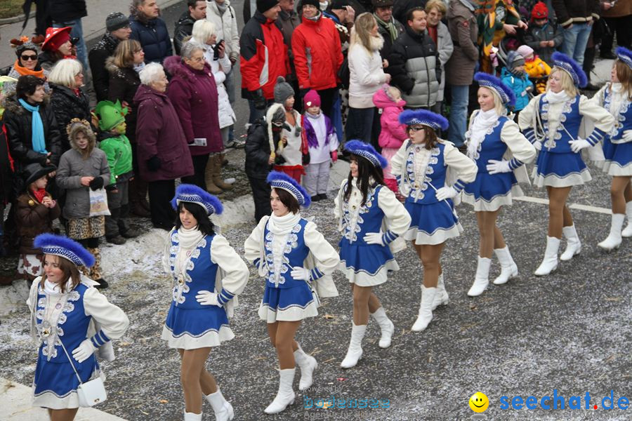 Narrentreffen: Rielasingen am Bodensee, 29.01.2012