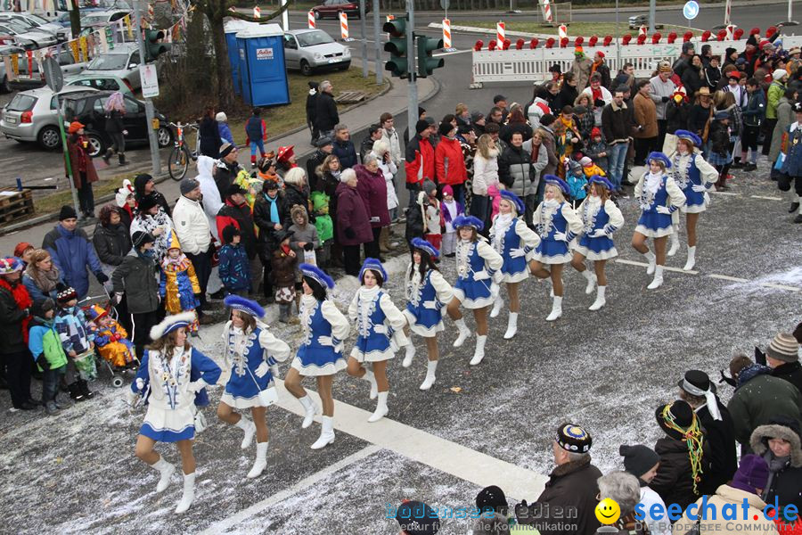 Narrentreffen: Rielasingen am Bodensee, 29.01.2012