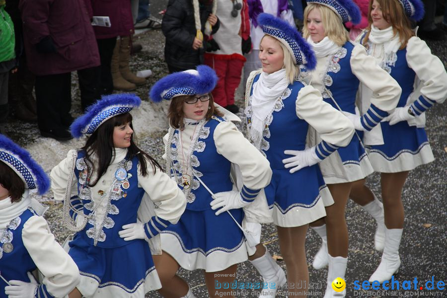 Narrentreffen: Rielasingen am Bodensee, 29.01.2012