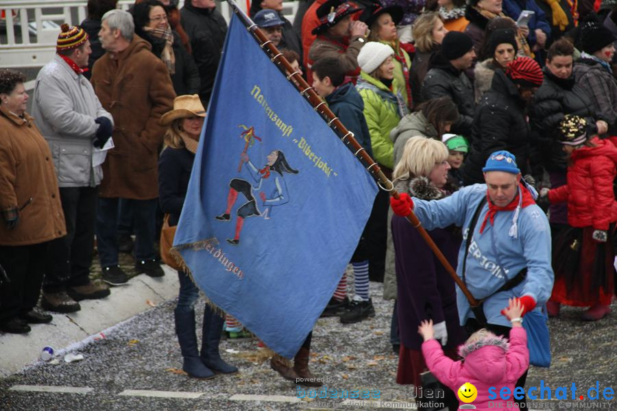 Narrentreffen: Rielasingen am Bodensee, 29.01.2012