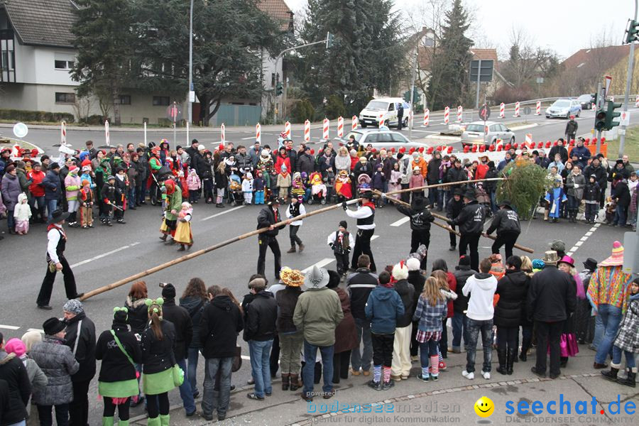 Narrentreffen: Rielasingen am Bodensee, 29.01.2012