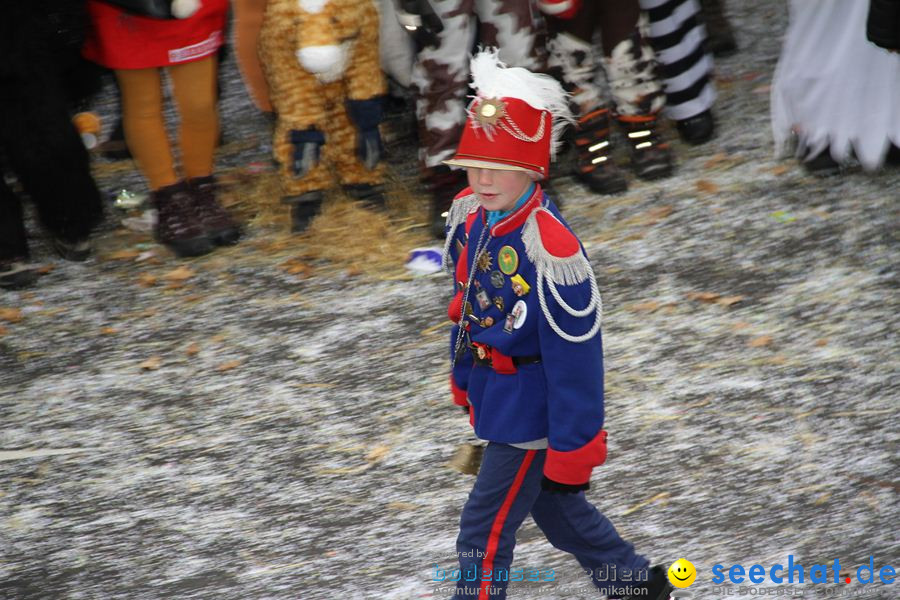 Narrentreffen: Rielasingen am Bodensee, 29.01.2012