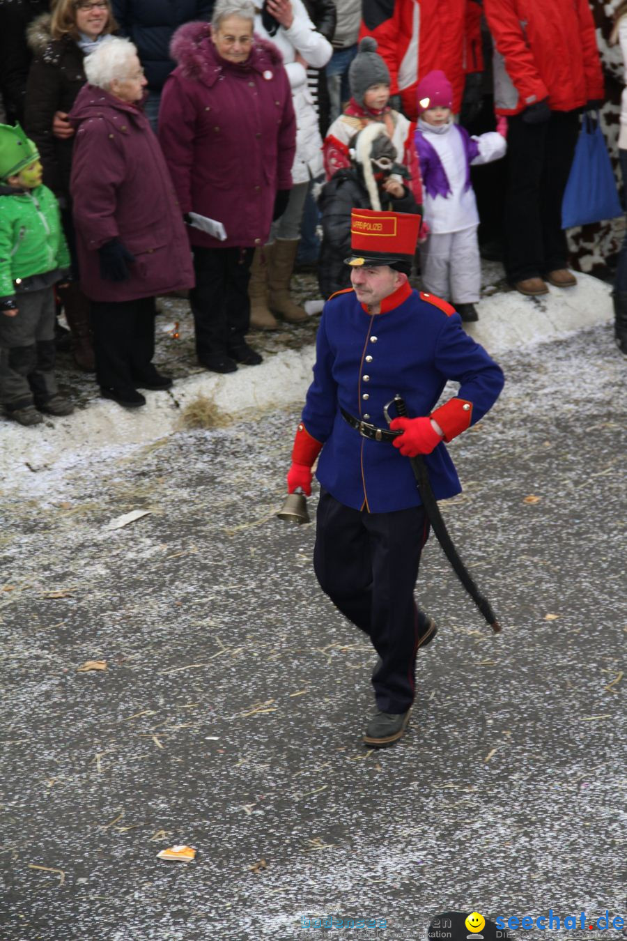 Narrentreffen: Rielasingen am Bodensee, 29.01.2012