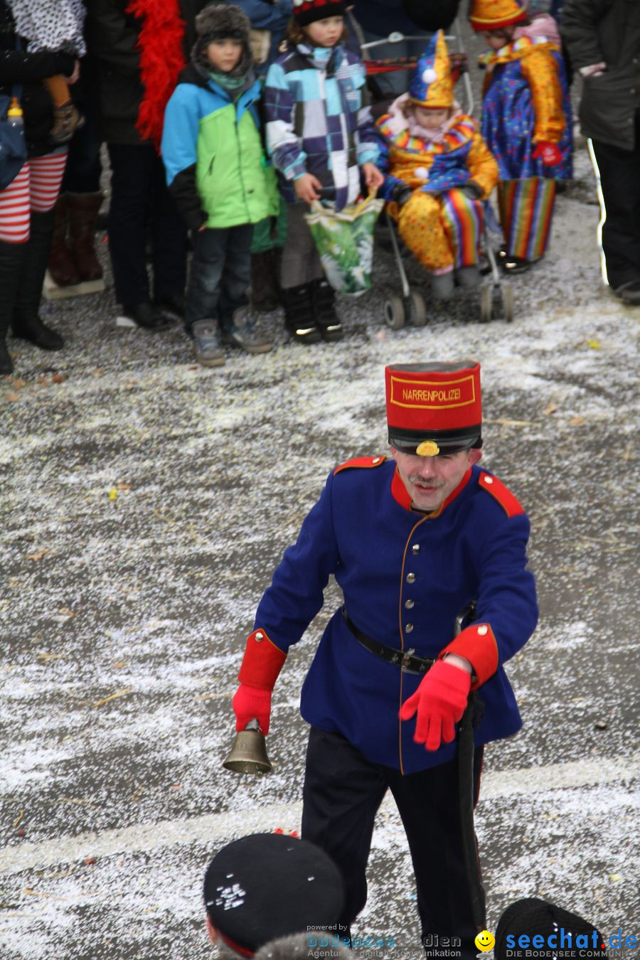 Narrentreffen: Rielasingen am Bodensee, 29.01.2012