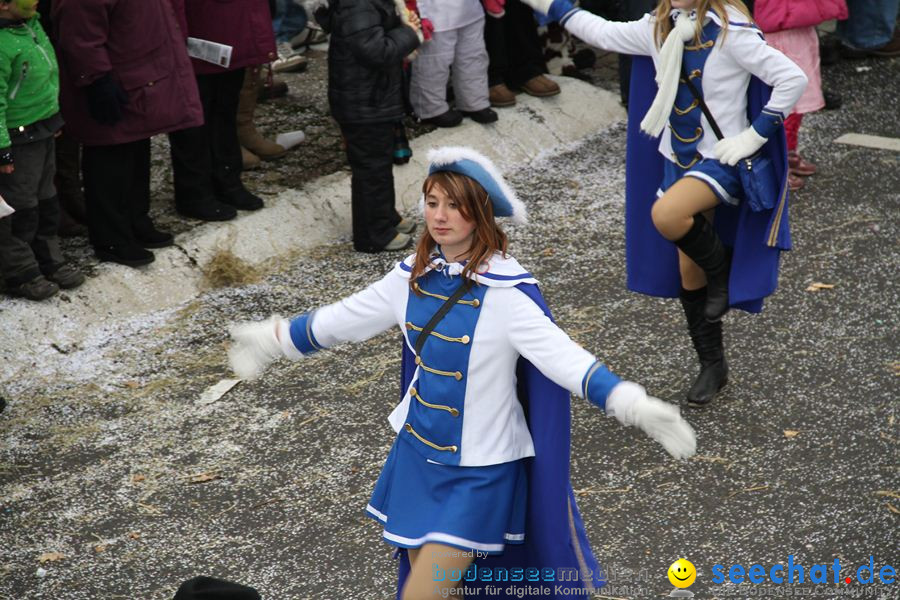 Narrentreffen: Rielasingen am Bodensee, 29.01.2012