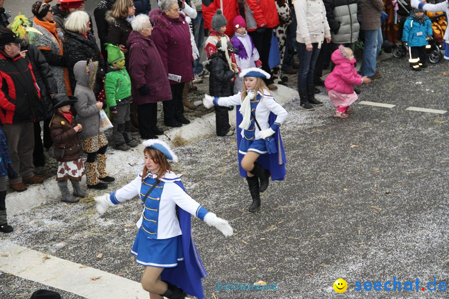 Narrentreffen: Rielasingen am Bodensee, 29.01.2012