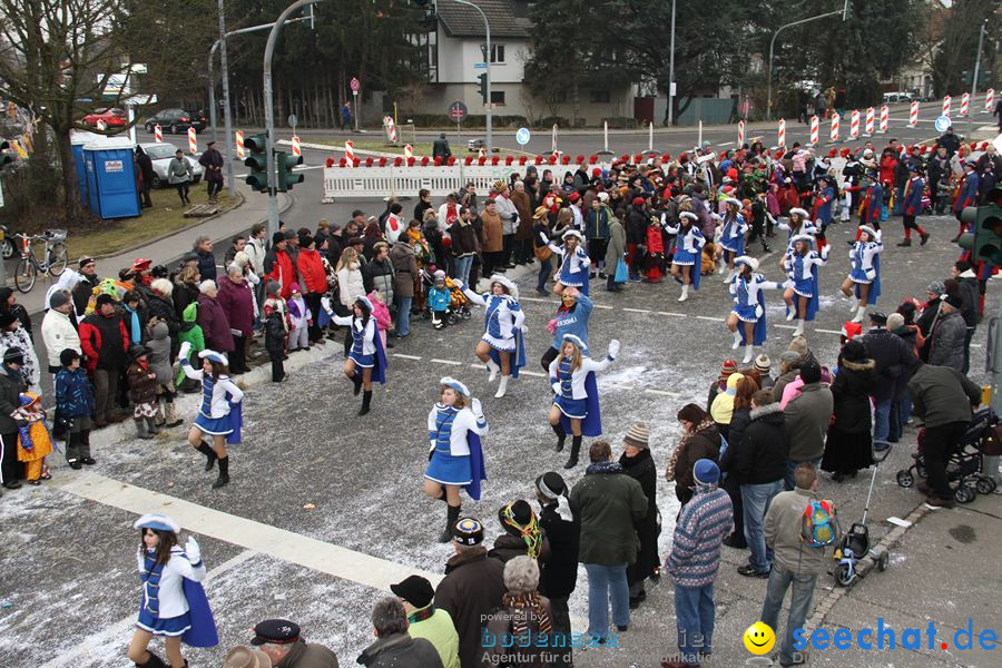 Narrentreffen: Rielasingen am Bodensee, 29.01.2012